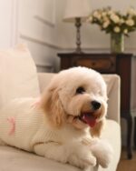 Pink Bow-3D Motif Pet Sweater - Image 2