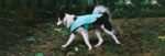 Mint | Winter Coat - Image 6