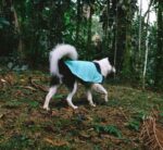 Mint | Winter Coat - Image 8
