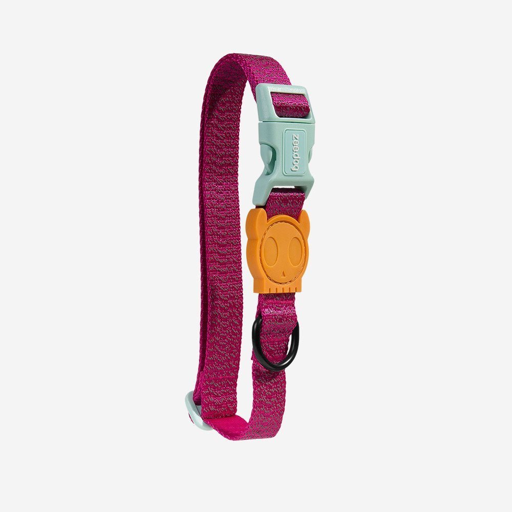 zeedog-dog-collar-nox-sidus_main-1.jpg NOX Sidus | Collar - Image 1