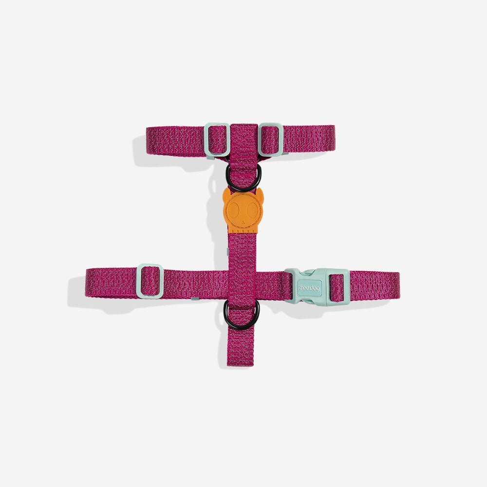 zeedog-h-harness-nox-sidus_main-1.jpg NOX Sidus | H Harness - Image 1